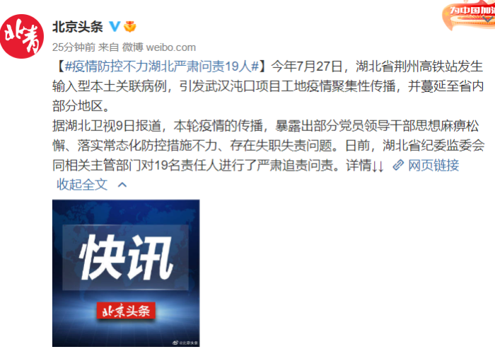 武汉疫情被问责的领导有哪些（武汉疫情哪些领导要问责）