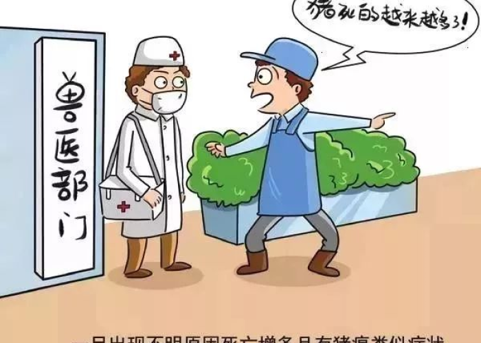 当下疫情防控的形势（当下疫情防控的形势是什么）