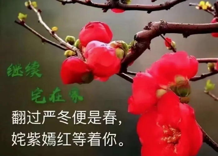 疫情来得太突然视频（疫情来得太突然的句子）