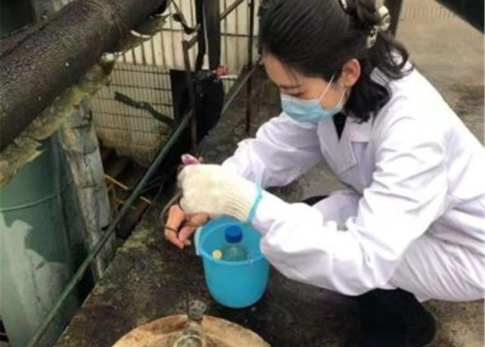 贵阳疫情（贵阳疫情是哪一年发生的）