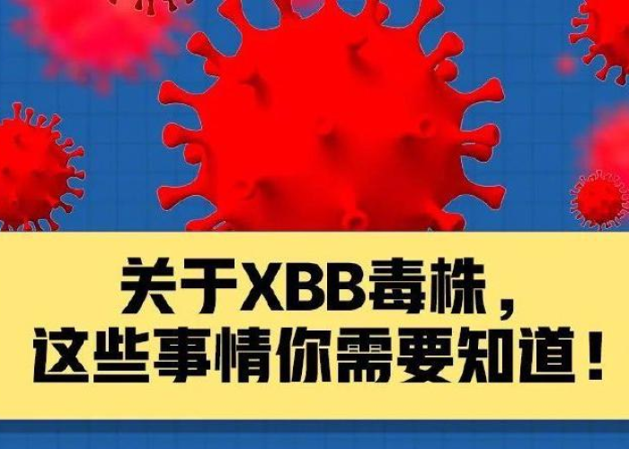 疫情期间的生活小常识简短（疫情期间日常生活）