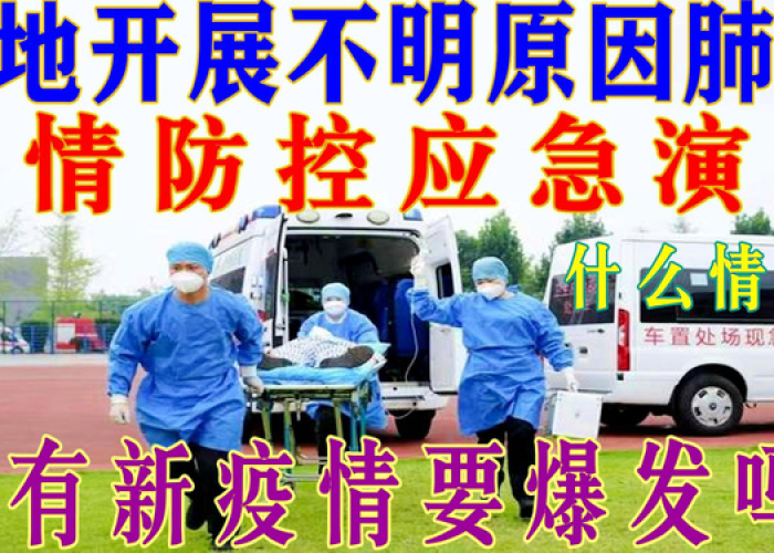 疫情起因到底是什么（疫情起发原因）