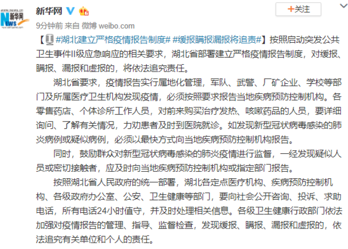 湖北省疫情追责处理（湖北疫情责任追究）