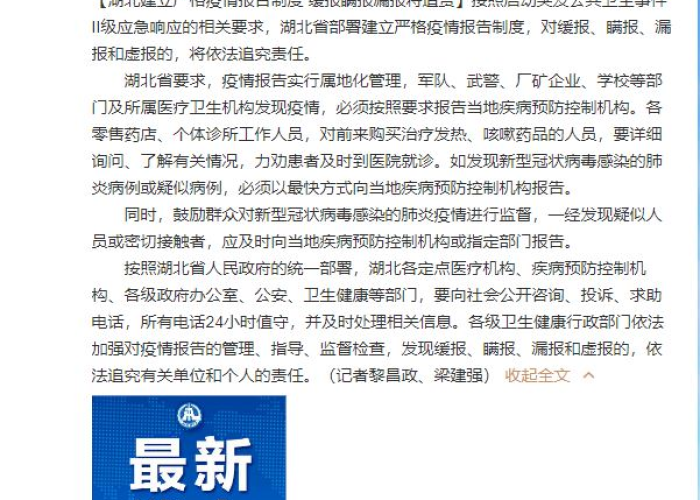 湖北省疫情追责处理（湖北疫情责任追究）