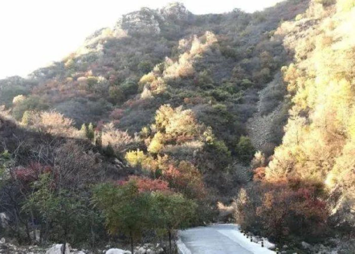 疫情什么时候结束可以出去旅游（疫情什么时候能出去玩）