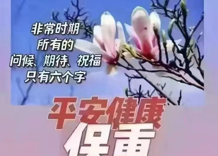 疫情期间要干哪些事（疫情期间应该干些什么）