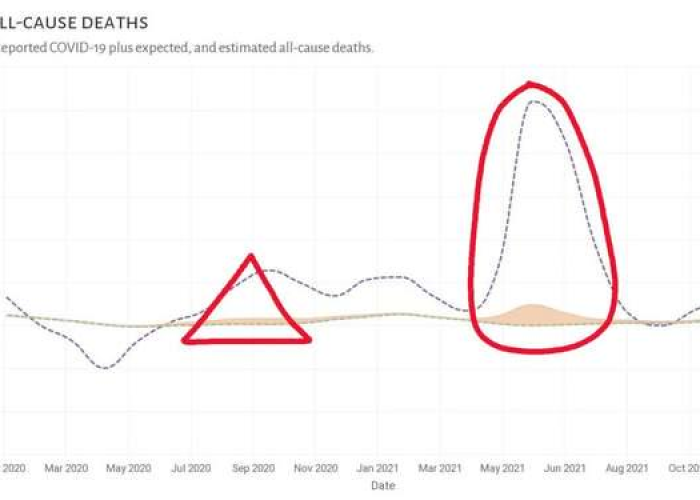 中国疫情放开死亡人数多少（疫情期间中国死亡人数是多少?）
