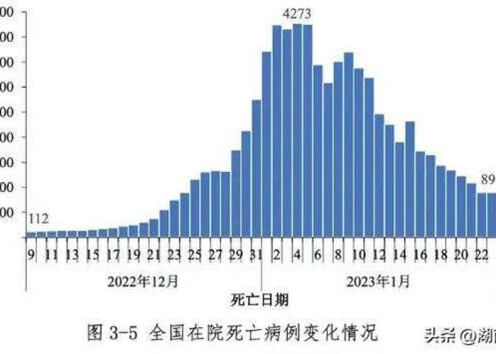 中国疫情放开死亡人数多少（疫情期间中国死亡人数是多少?）