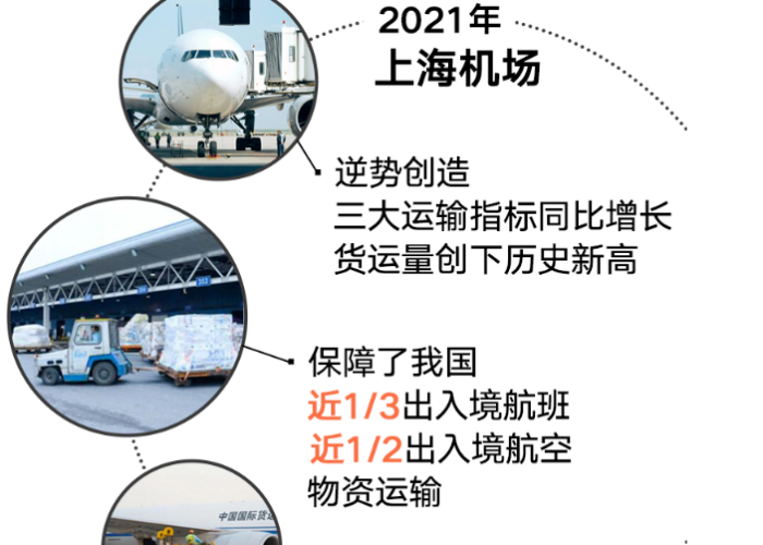 上海疫情是哪个毒株（上海疫情病毒）