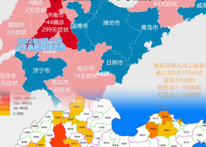 疫情最新数据一览表山东（疫情最新通报山东）