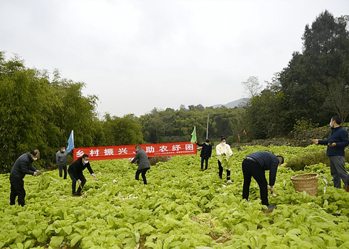 重庆疫情起源最新消息（重庆疫情1例来自什么地方）