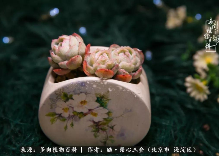 疫情结束后（疫情结束后的感悟心得）