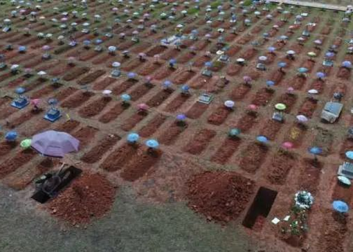 新冠疫情最新死亡率（实时更新新冠肺炎疫情最新动态死亡率图）