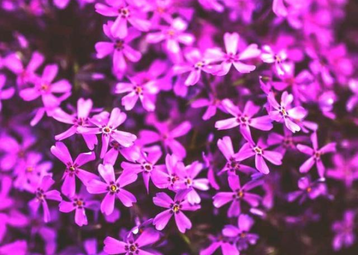 疫情解封后心情说说（疫情终于解封了心情）