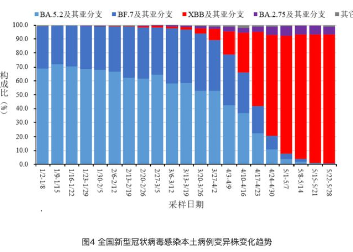 全球新冠病毒疫情实时数据今日（全球新冠疫情数据实时汇总）