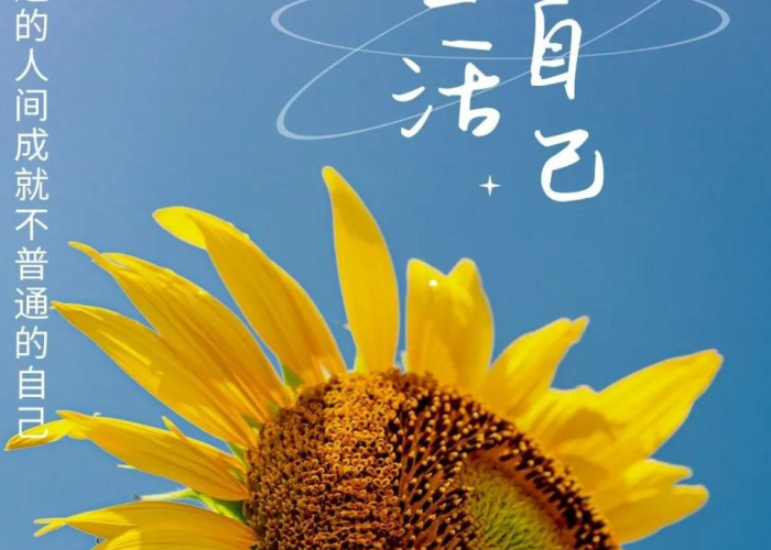 疫情防控的生活（疫情防控生活篇）