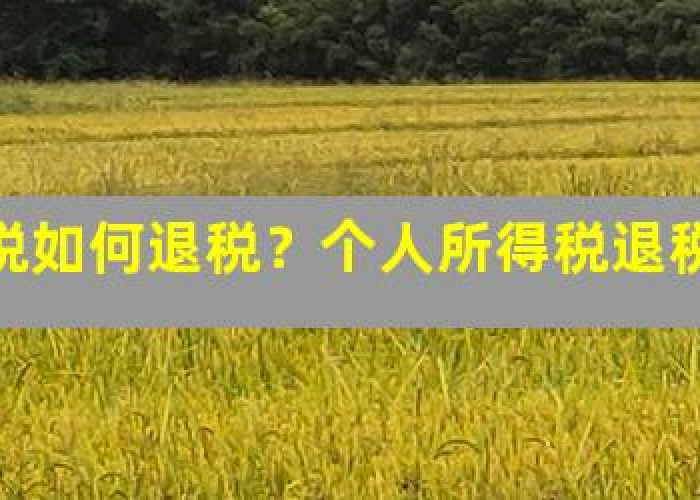 疫情三年交的个税如何二次退税呢（2020年疫情个人所得税退税）
