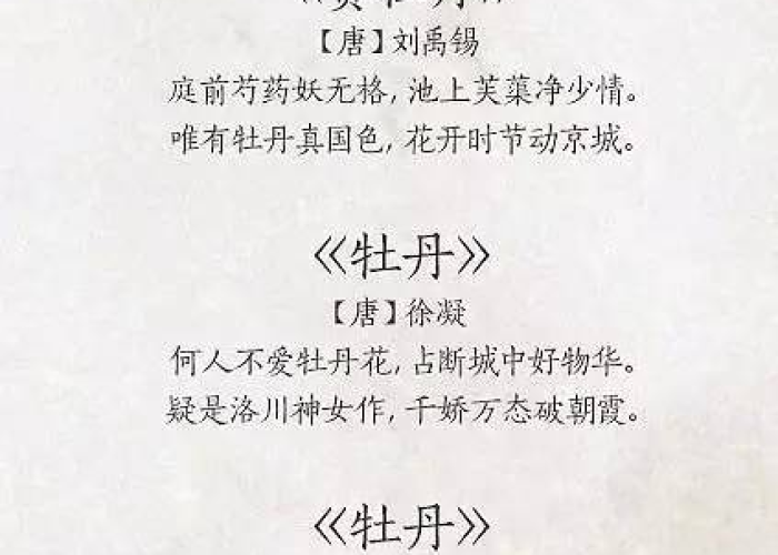 疫情的诗句（疫情诗句七言绝句待到春暖花开时下一句）