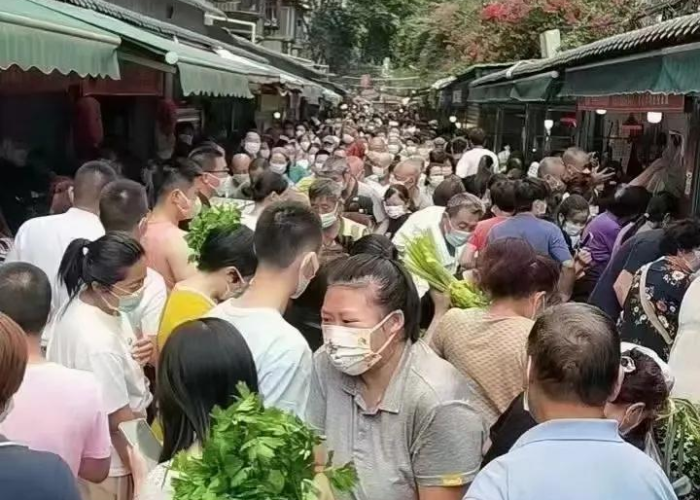 疫情封了几座城市（疫情封了哪些地方）