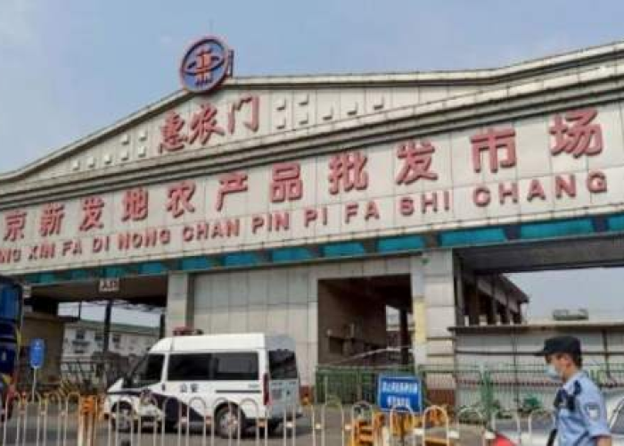 武汉疫情什么时候爆发的（武汉的疫情是从什么时间开始爆发出来）