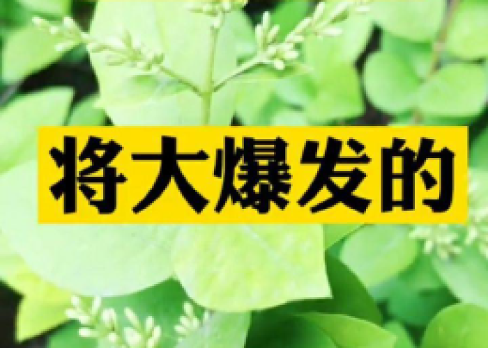 疫情谁赚钱了（疫情挣钱）