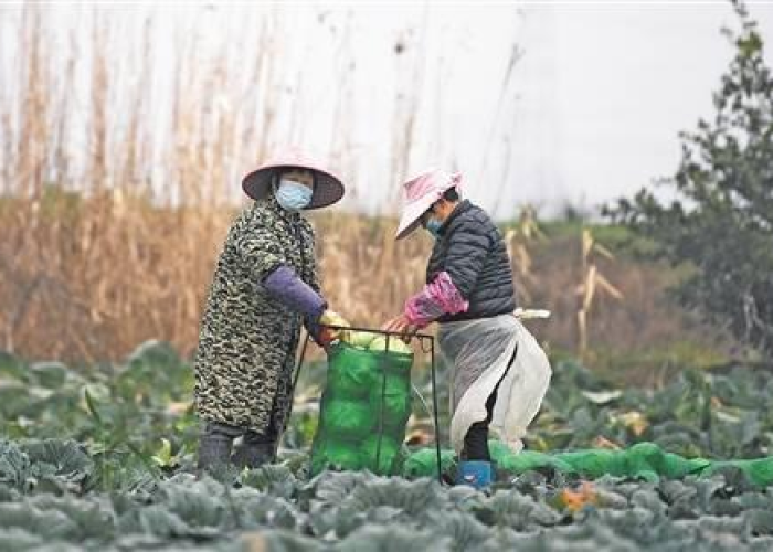 疫情的钱被谁赚走了怎么办（疫情的钱谁出）