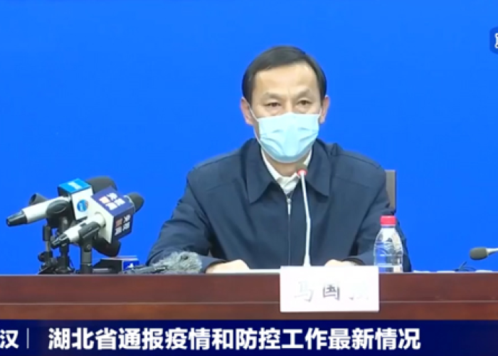 湖北疫情处理官员通报（湖北疫情处罚官员）