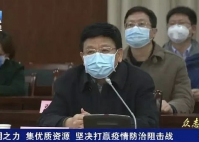 湖北疫情受处分领导（湖北疫情干部处理）