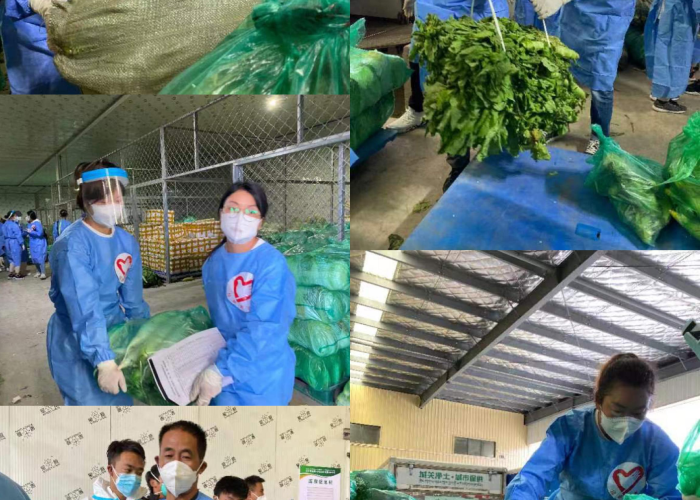 为什么疫情得到了控制（为什么疫情能得到有效控制）