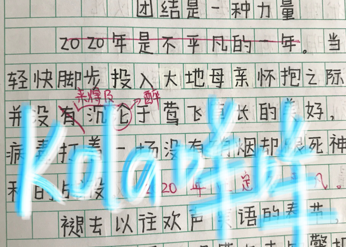 我也出了一份力疫情作文（我为疫情出份力的作文）