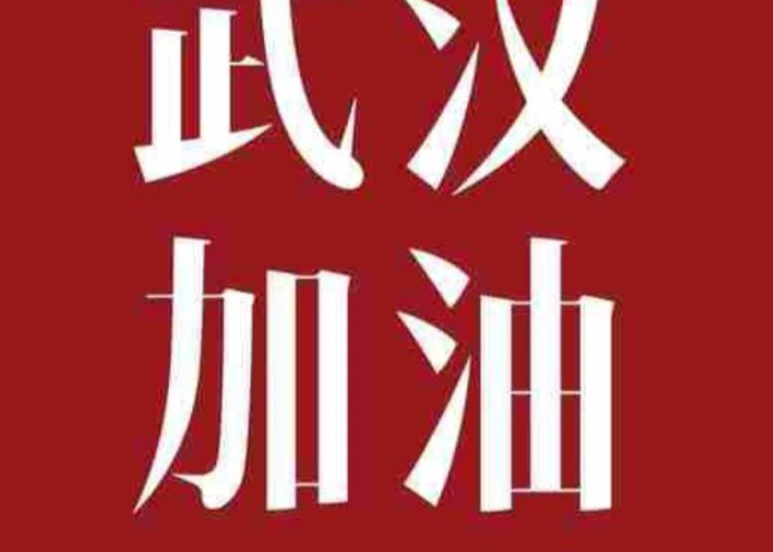我也出了一份力疫情作文（我为疫情出份力的作文）