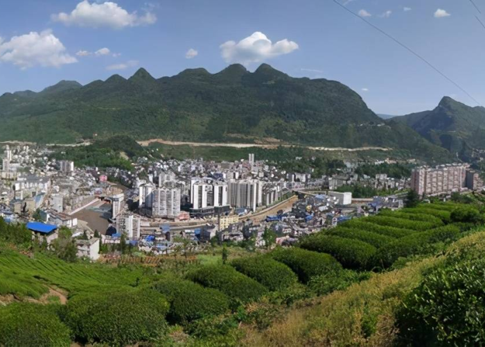 湖北疫情谁被撤职（这次疫情湖北处理了多少官员）