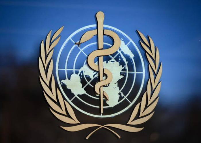 德国媒体谈中国疫情全面放开（德国疫情的中国人）