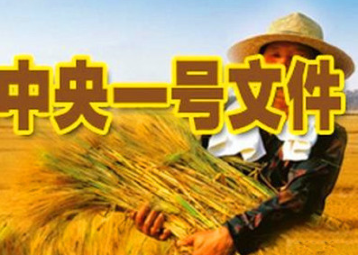 疫情3年带来的生活变化文案（疫情带来的生活新变化）