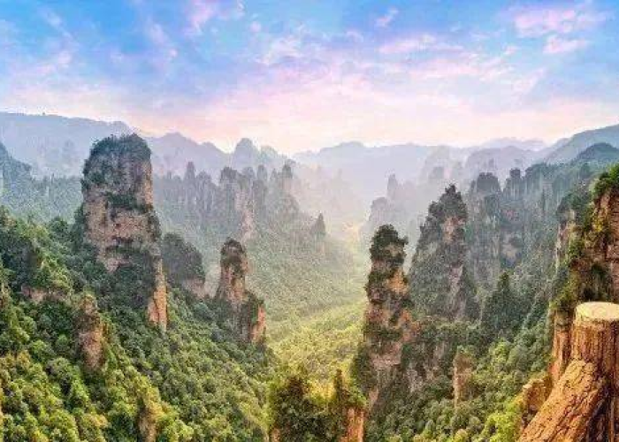 全球疫情开放的国家与景区（疫情世界开放）