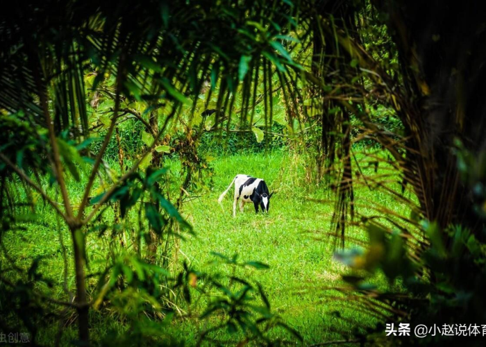 疫情什么时候能结束的说说句子（疫情什么时候能结束的说说句子搞笑）