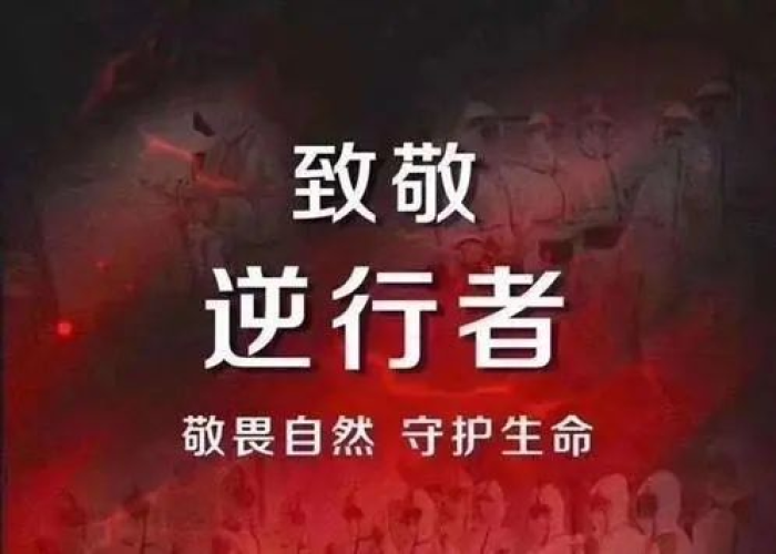 疫情人性的丑恶（疫情中人性的美与丑）