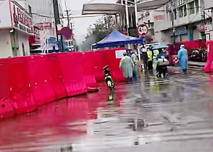 广州番禺区洛浦今日疫情（广州番禺区洛浦今日疫情如何）